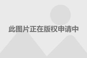 福特将向北美经销商交付14.4万辆卡车