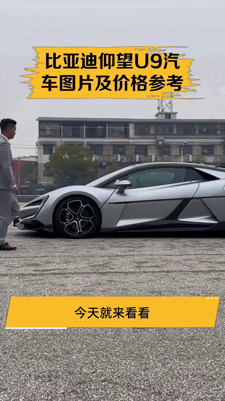 成华仰望U9价格168.00万起 暂无优惠