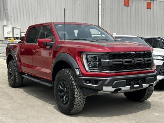 猛禽F150加拿大版价格最低51万起售 欢迎前来试驾
