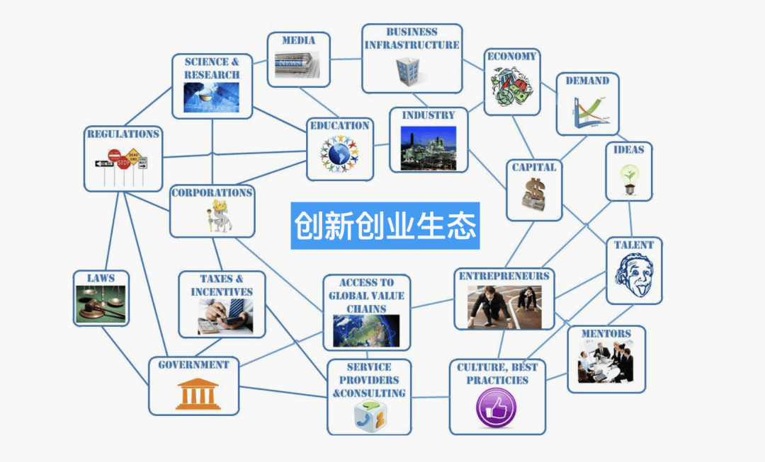汽车产业链深度重构激发创新活力