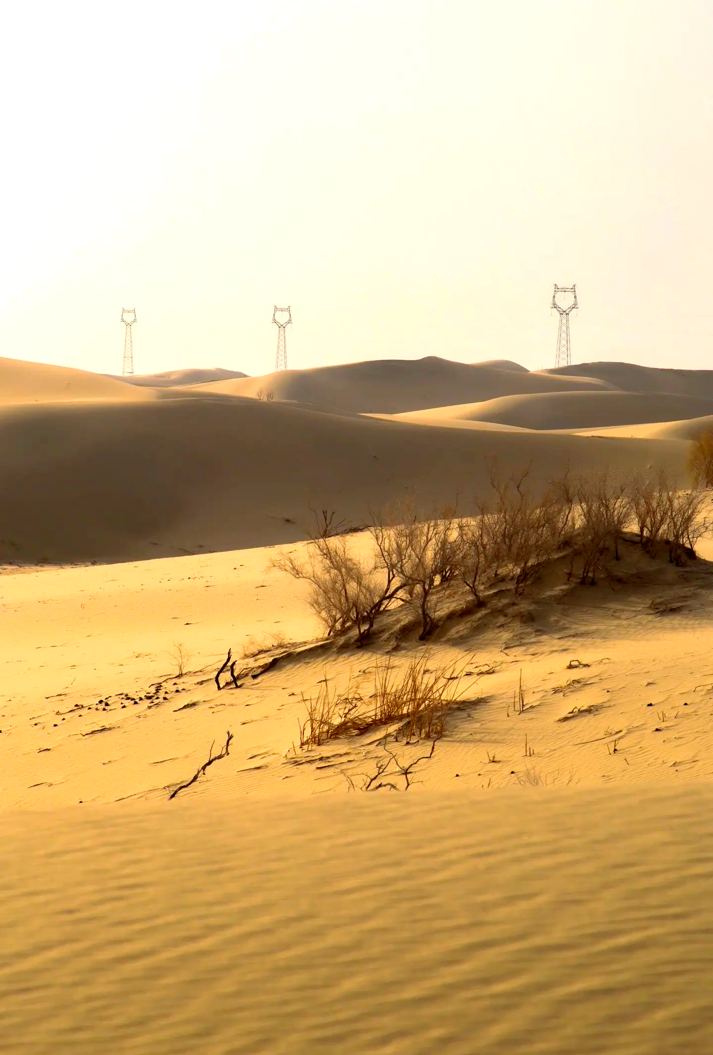 全场景穿越“公路之王” 福特探险者勇闯塔克拉玛干