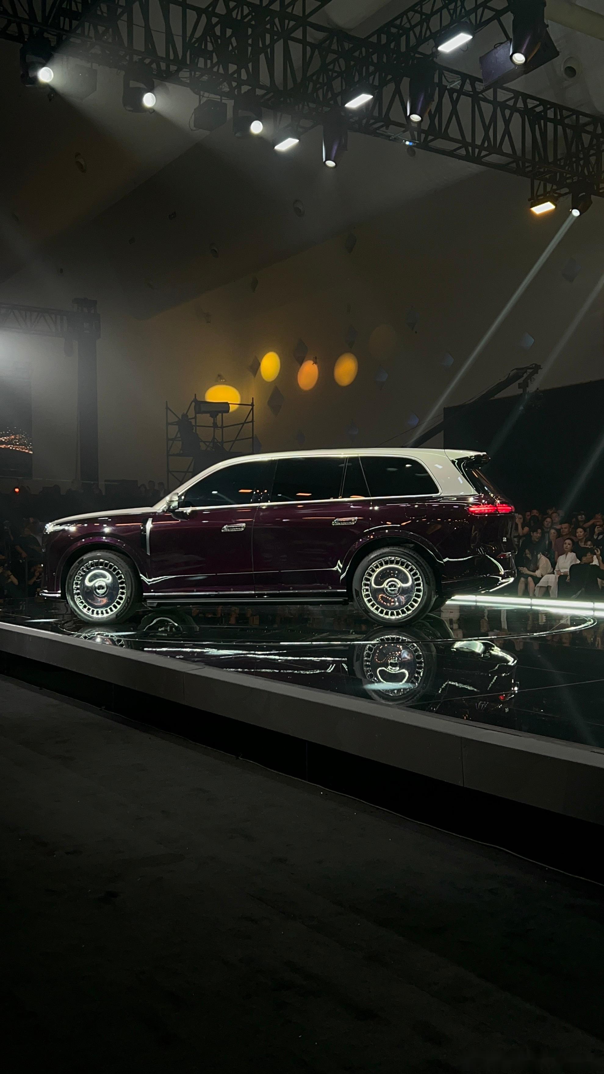 岚图泰山黑武士版更多官图发布,将于3月上市